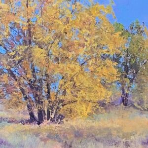 Cottonwoods in the Malheur Refuge
