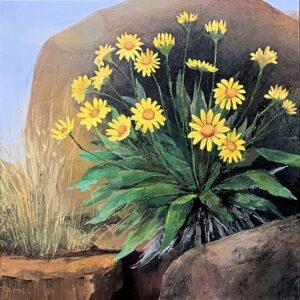 High Desert Blooms