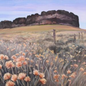 Fort Rock Summer